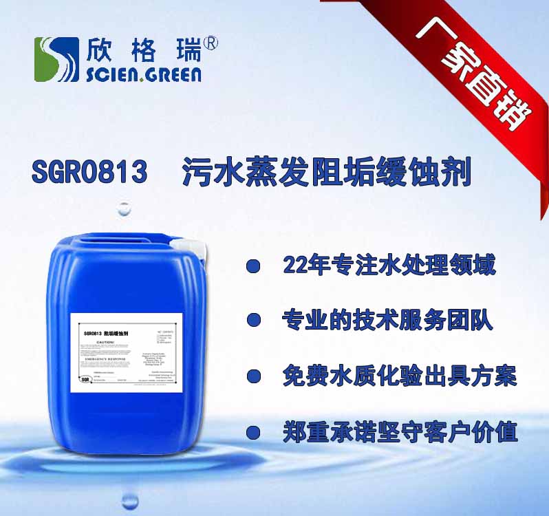 污水蒸发阻垢分散剂  SGR0813