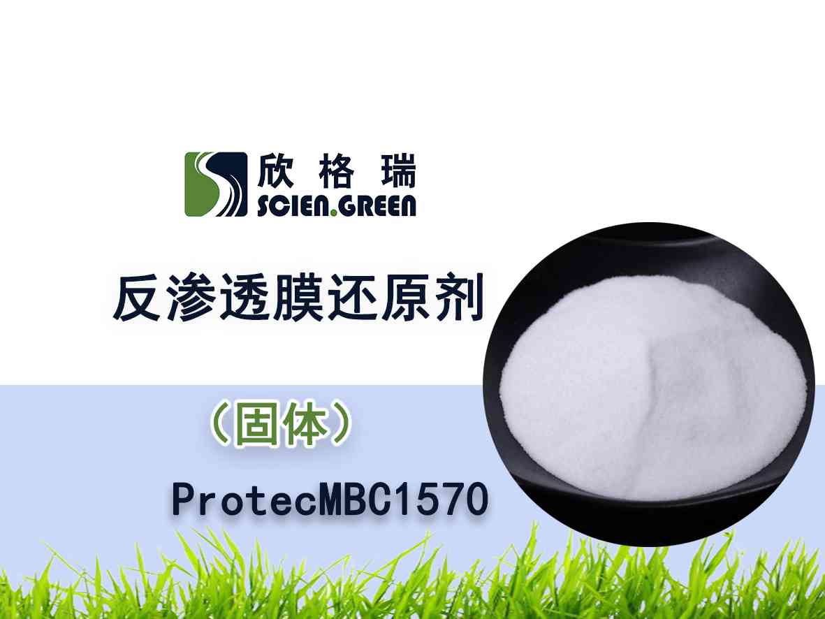 反渗透膜还原剂（固体） ProtecMBC1570